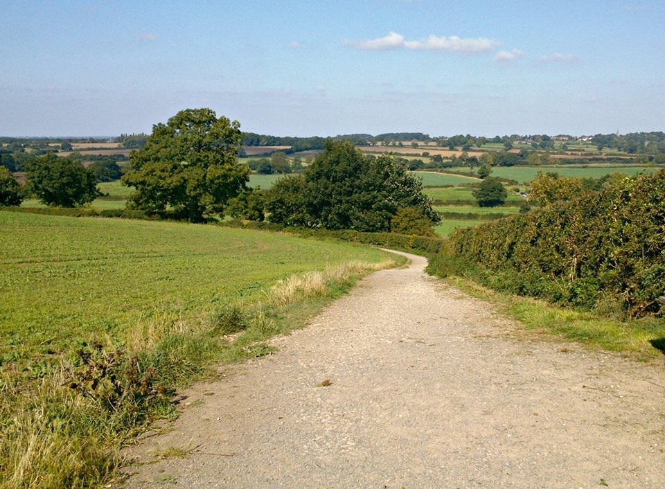 the road to Bosworth field